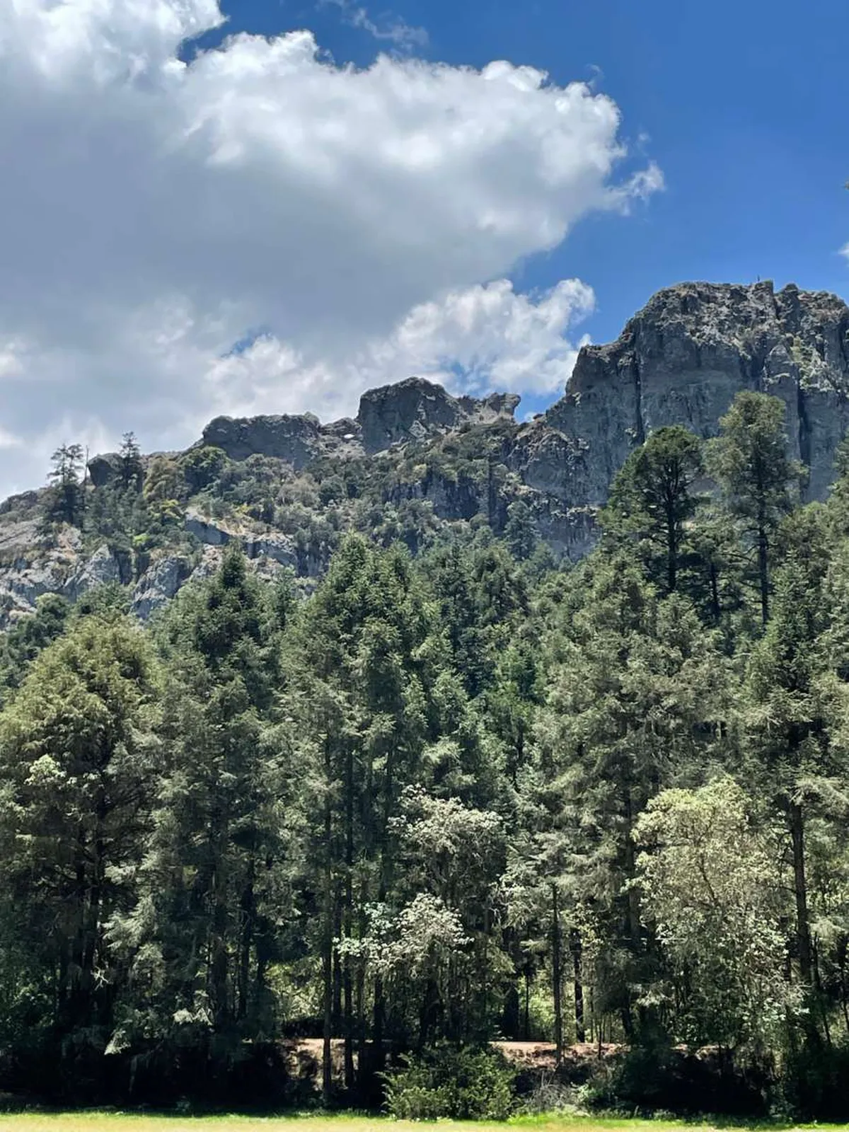 🛑 ¡Se pasan de lanza! Asaltan a ciclistas en El Chico y refuerzan la seguridad sin frenar el turismo.🚲🌲