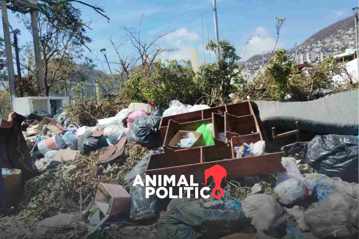 a 10 días de Otis, basura y falta de medicamentos agravan crisis de salud en Acapulco #medicamentos 📰