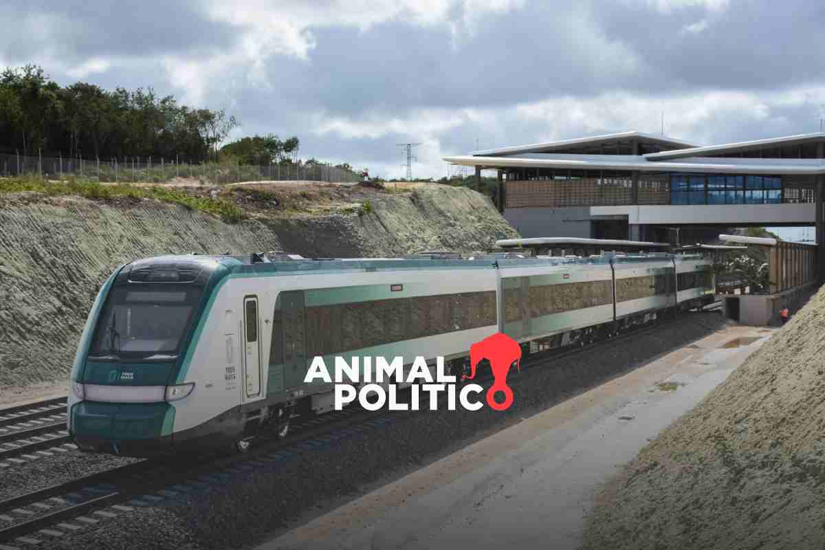 Tren Maya tiene 11 puntos de riesgo de colapso y hundimientos; obras en tramo 5 sur siguen #TrenMaya 📰