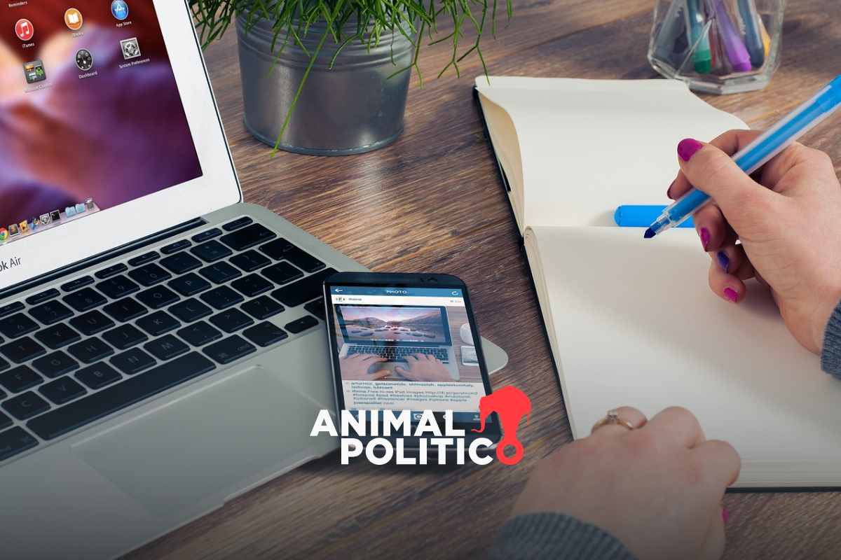 Alertan por fraude ‘sugar daddy’ en la capital; autoridades omiten estrategia de prevención #FraudesEstafasOmision 🤖